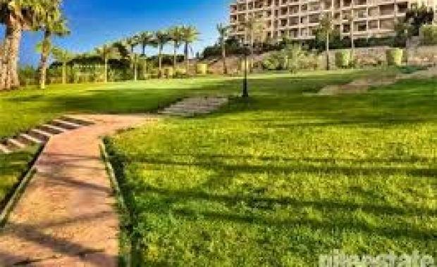 Zayed 2000 - Sheikh Zayed